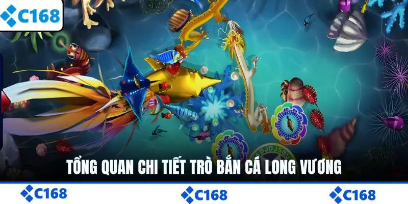 Tổng quan chi tiết trò săn cá đỉnh cao